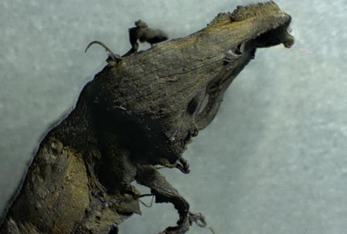 Crystal-Clot-50x-1200-768×518