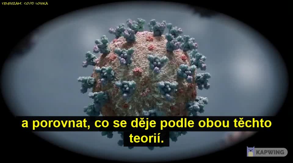 photo_2022-09-04_21-22-06