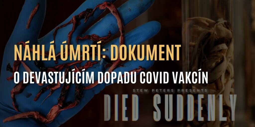 Náhlá-úmrtí-1024×536