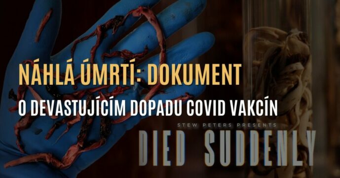 Náhlá-úmrtí-1024×536
