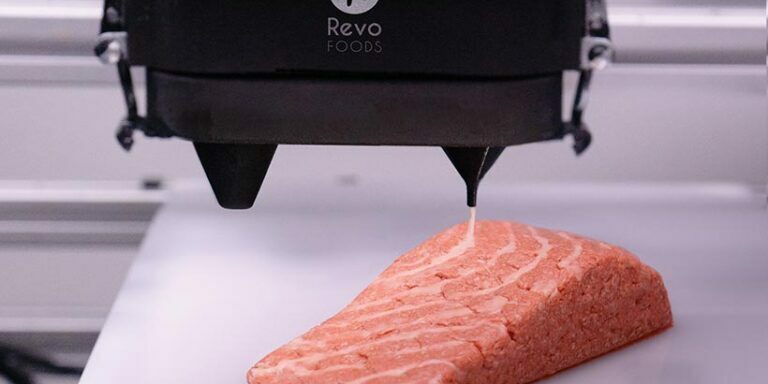 Revo-Foods-3D-vegan-salmon-printed-768×583-1-e1695184198247