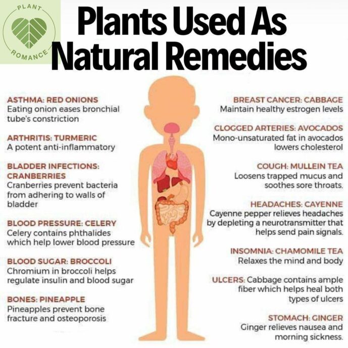 photo_2024-01-28_14-26-08