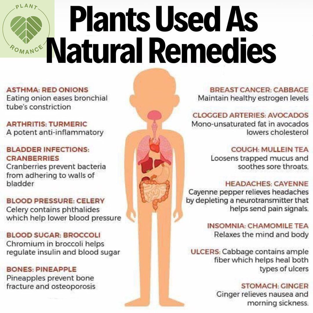 photo_2024-01-28_14-26-08